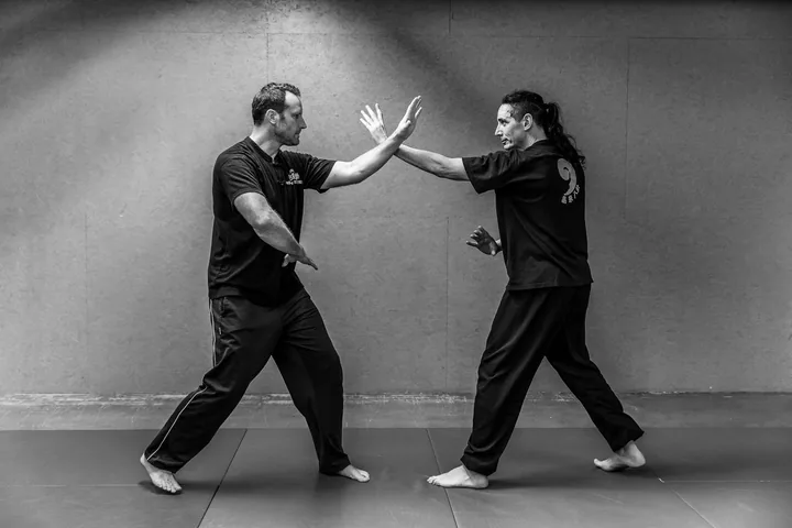 Deux pratiquants face à face, paume tendue, dans une application du Xingyi Quan.